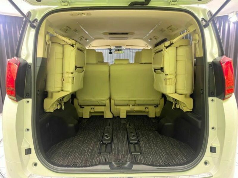 ALPHARD-10