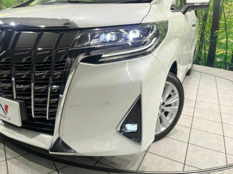 ALPHARD-12