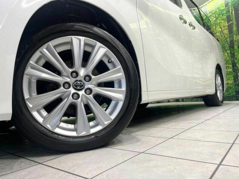 ALPHARD-13