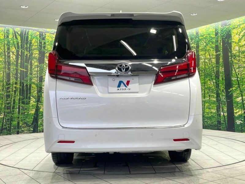 ALPHARD-15