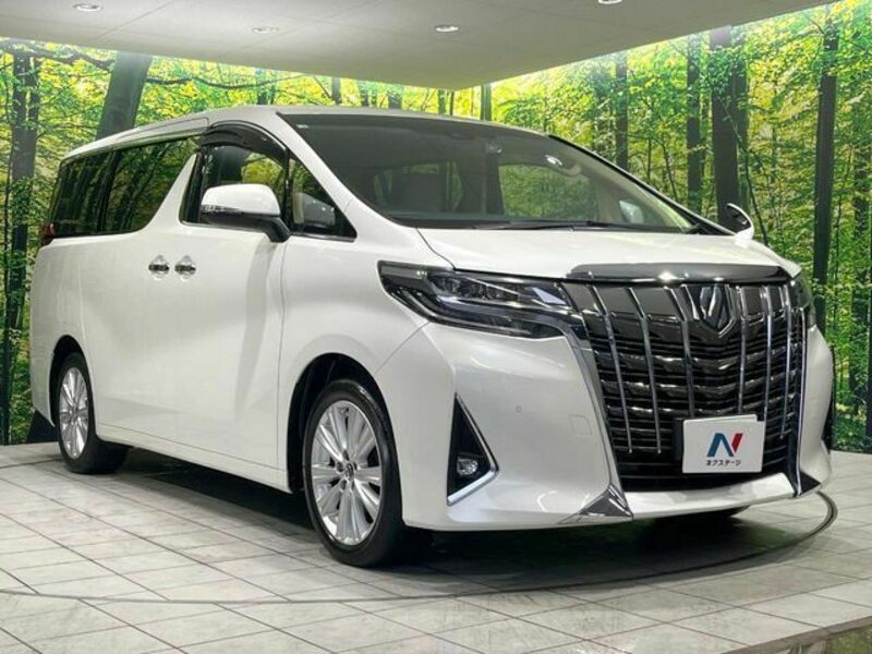 ALPHARD-16