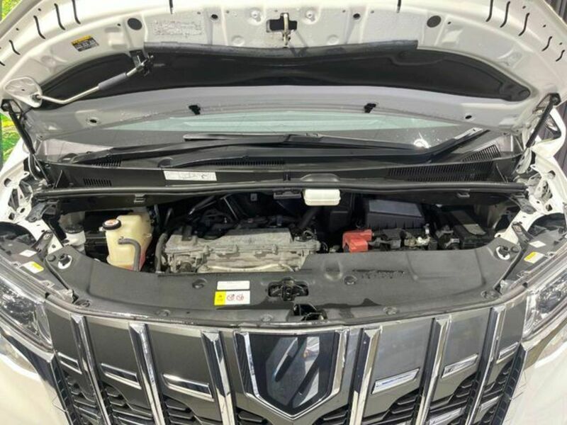 ALPHARD-17