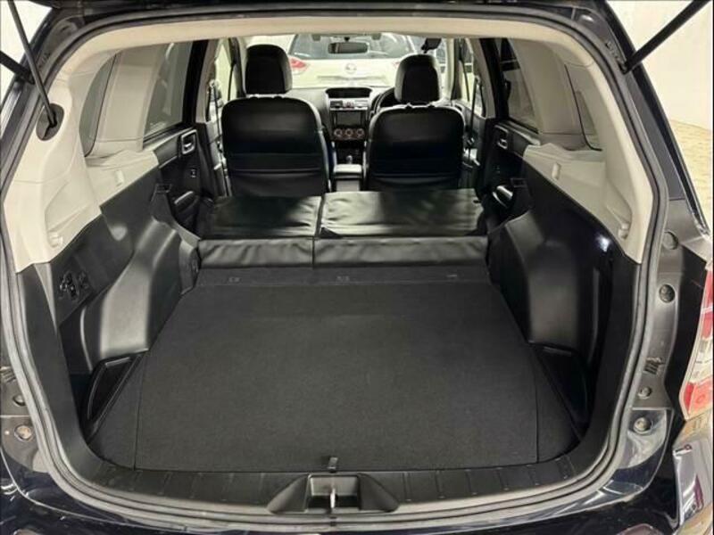 FORESTER-12