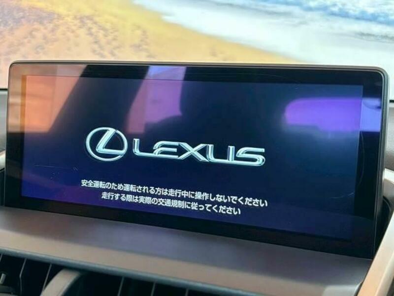 NX