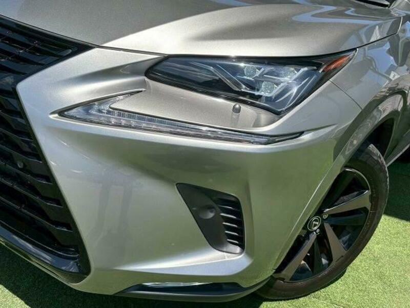 NX