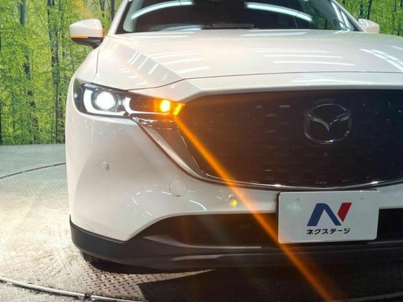 CX-5-11