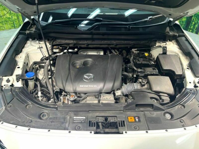 CX-5-17