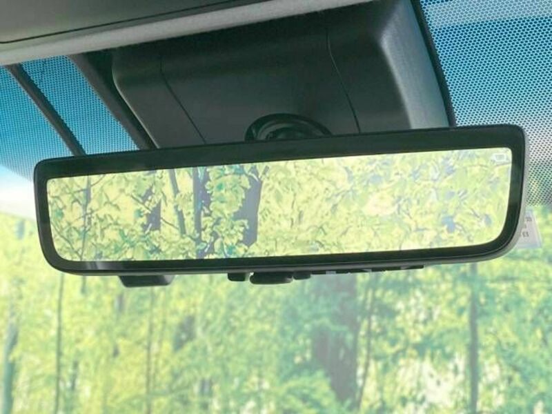 ALPHARD-6