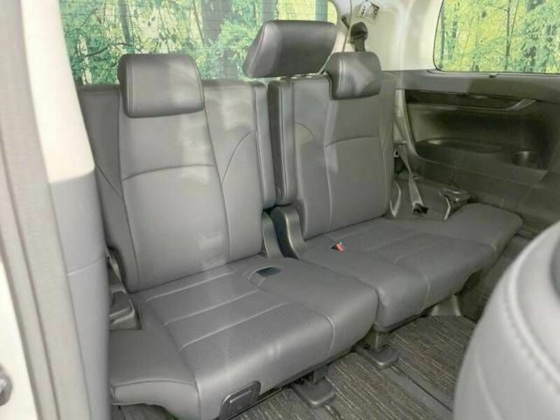 ALPHARD-10