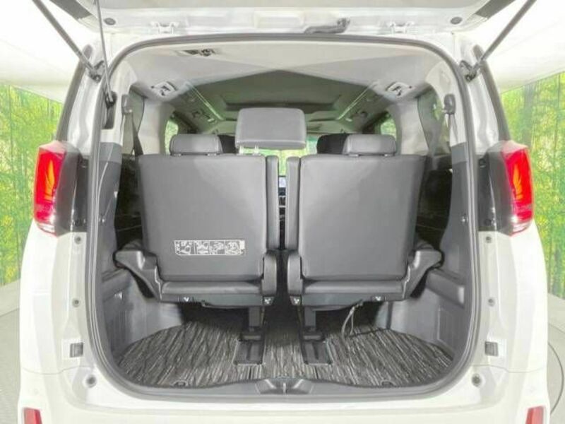 ALPHARD-11