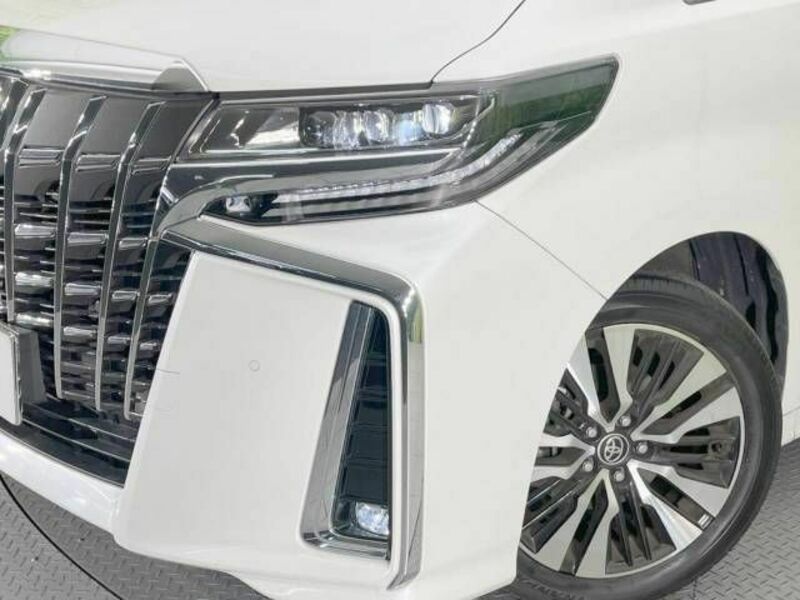 ALPHARD-13