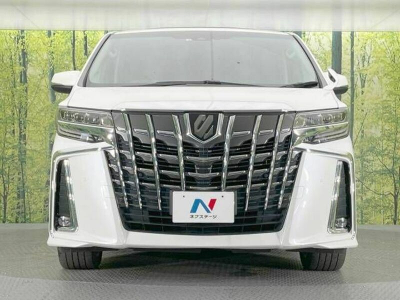 ALPHARD-15