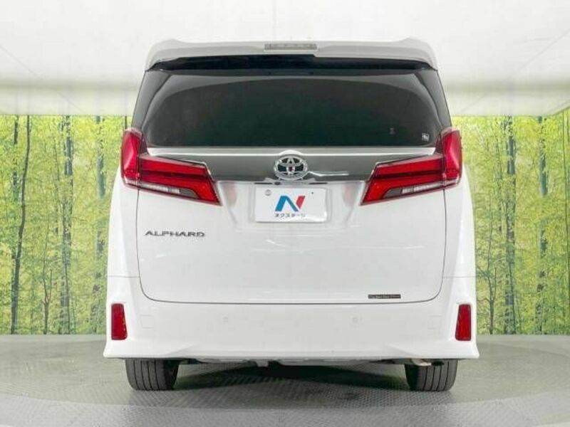 ALPHARD-16