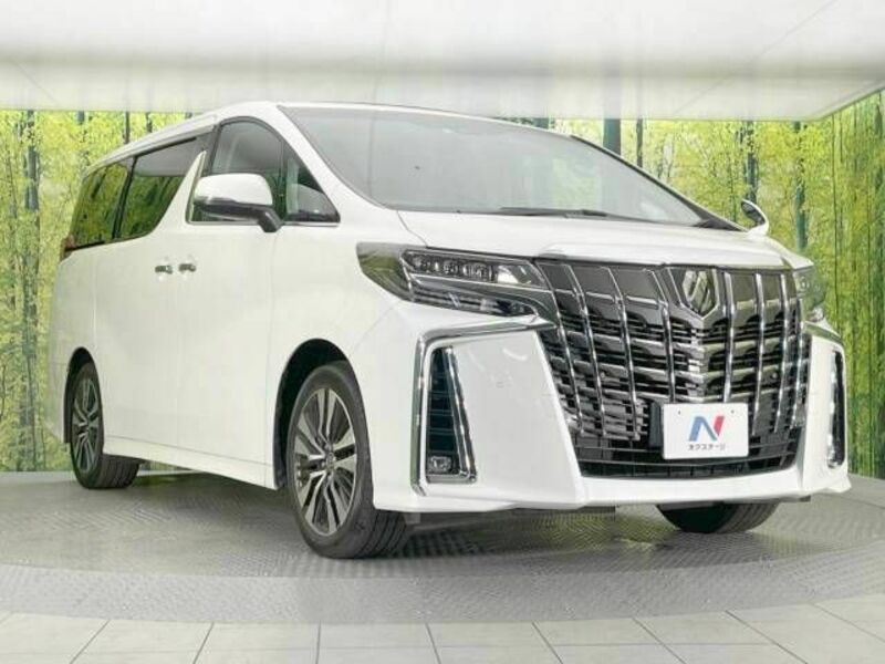 ALPHARD-17
