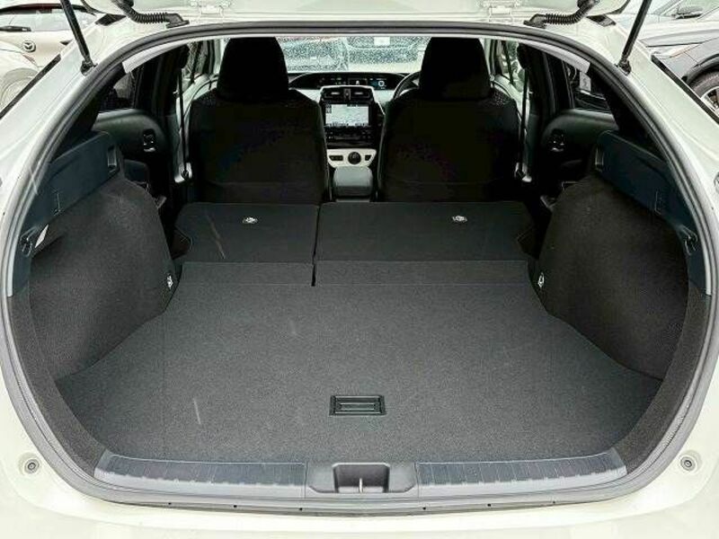 PRIUS-19