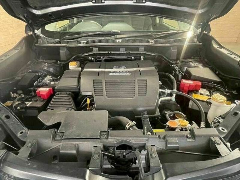 FORESTER-12
