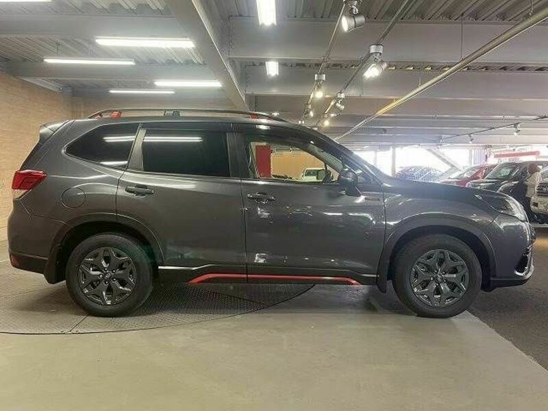 FORESTER-17