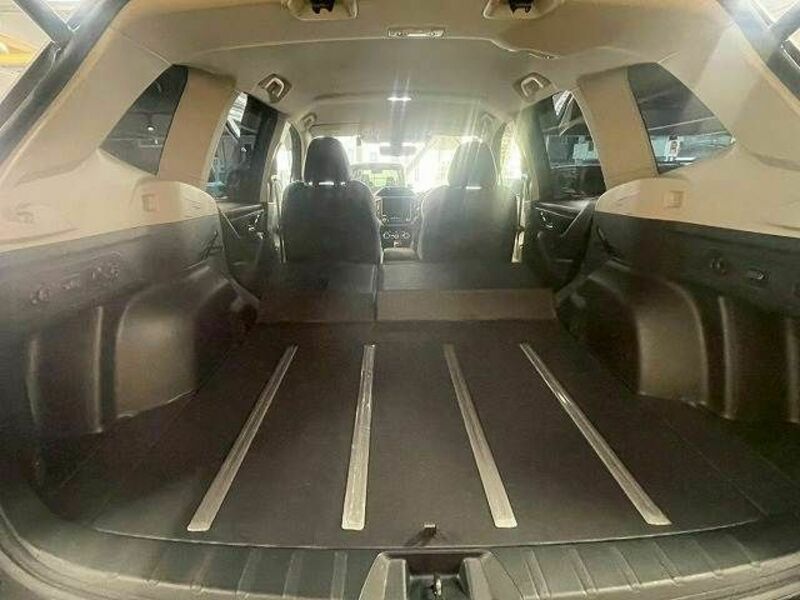 FORESTER-19