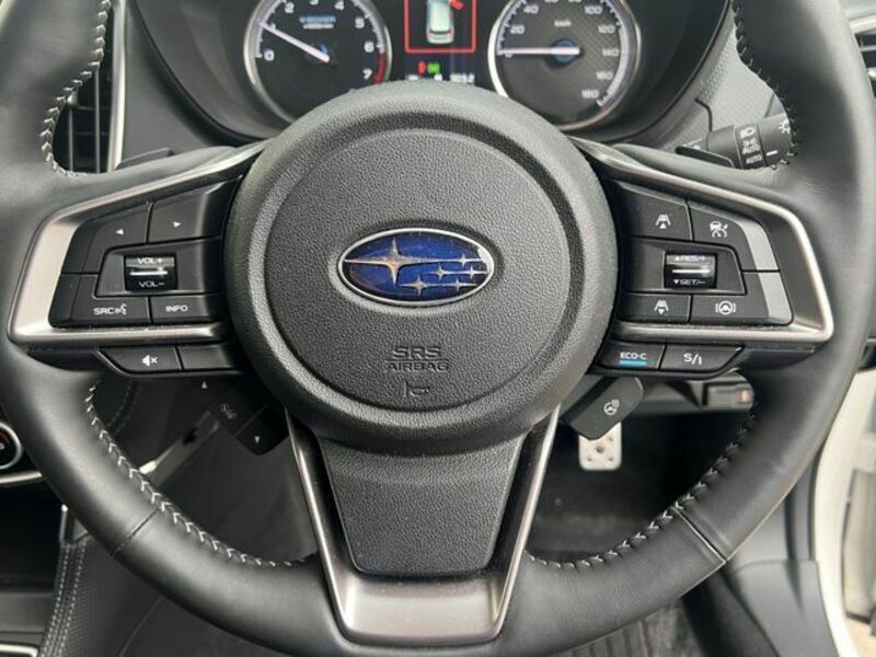 FORESTER-7