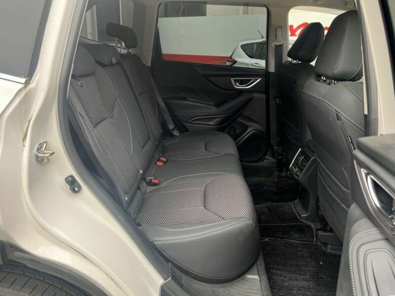 FORESTER-10