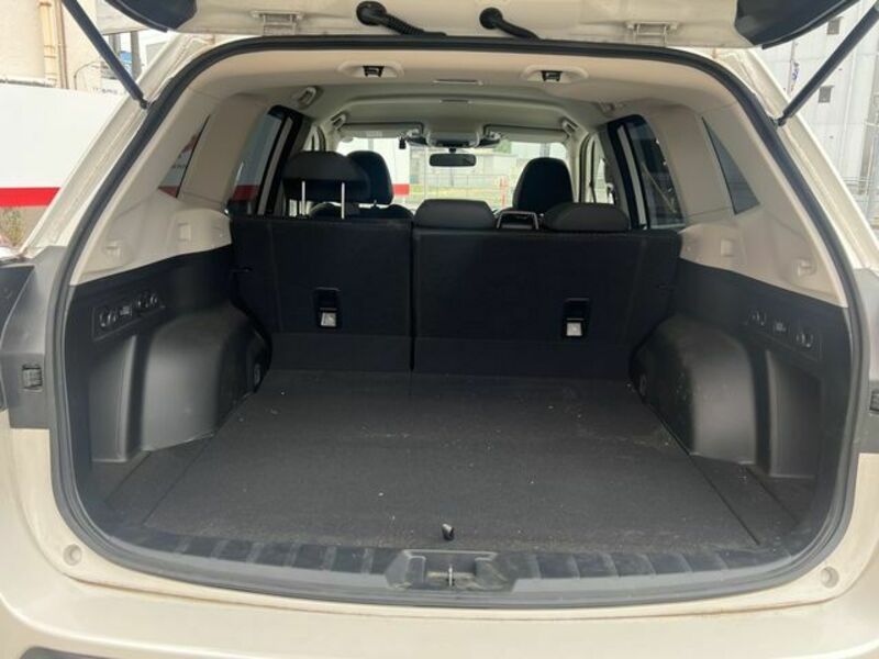 FORESTER-11