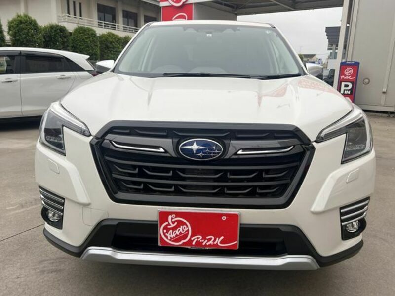 FORESTER-16