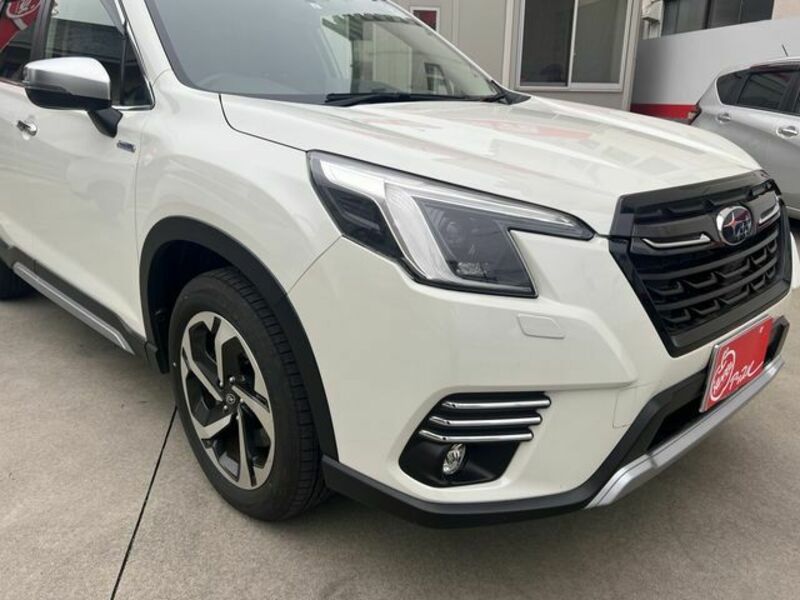 FORESTER-17