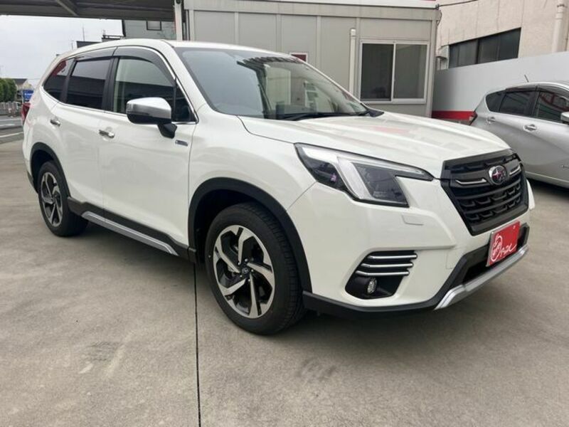 FORESTER-18