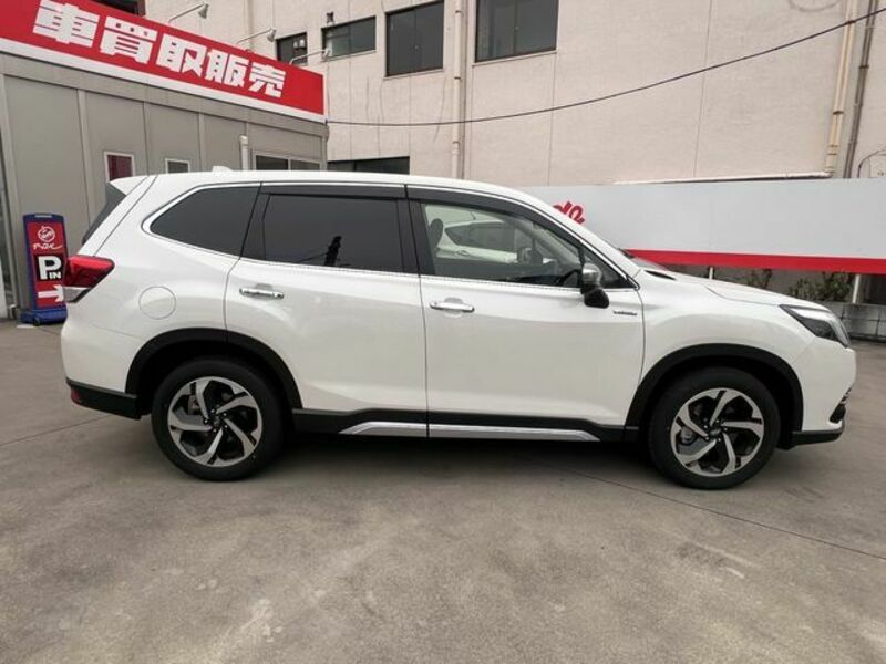 FORESTER-19