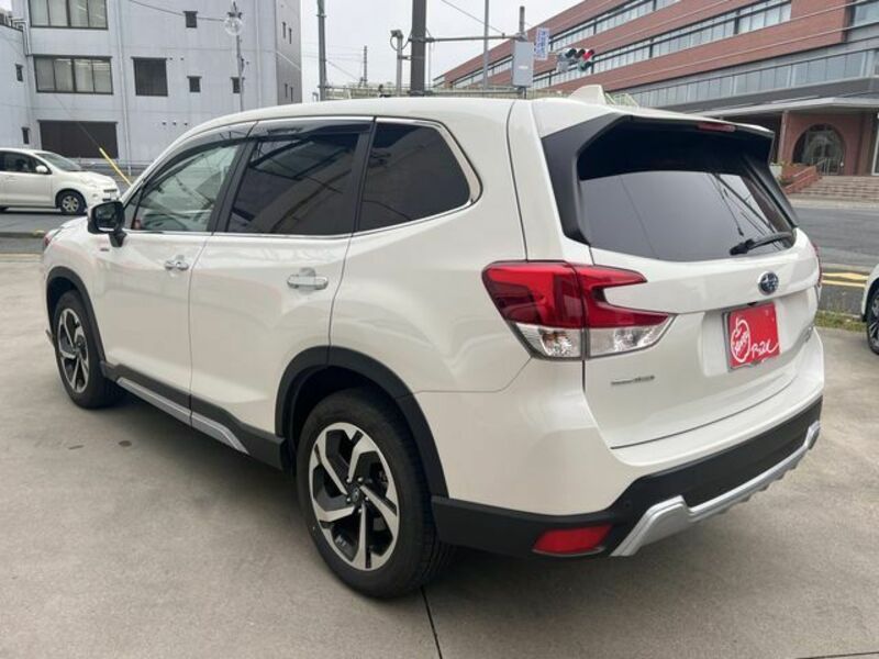 FORESTER-21