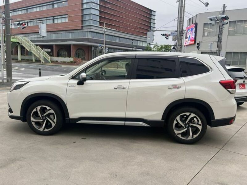 FORESTER-22