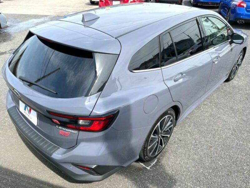 LEVORG