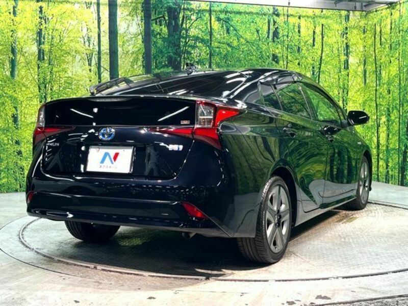 PRIUS-16