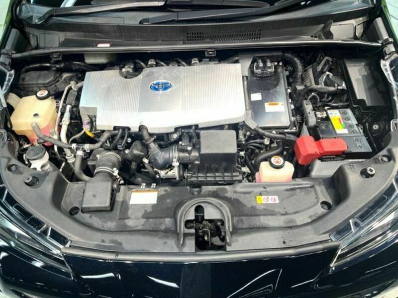 PRIUS-17
