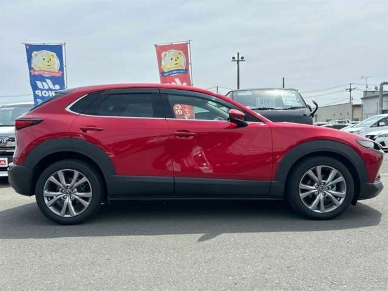 CX-30-12