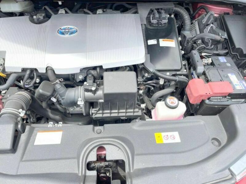 PRIUS-19