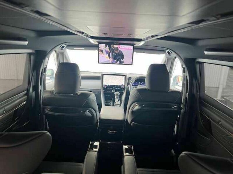 ALPHARD-13