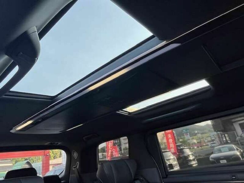 ALPHARD-14