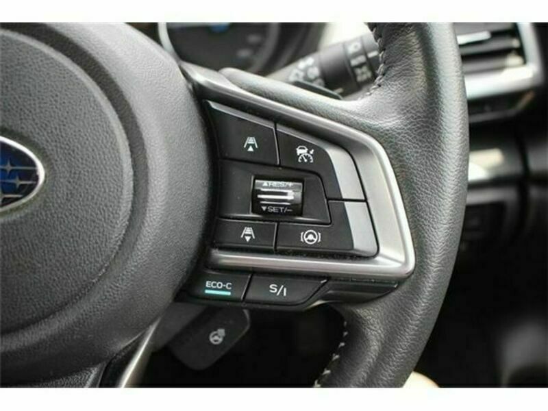 FORESTER-4
