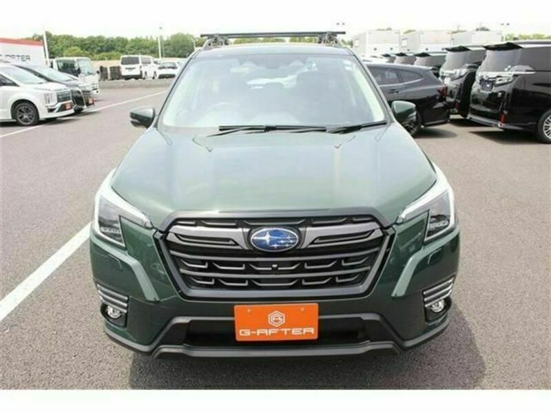 FORESTER-7