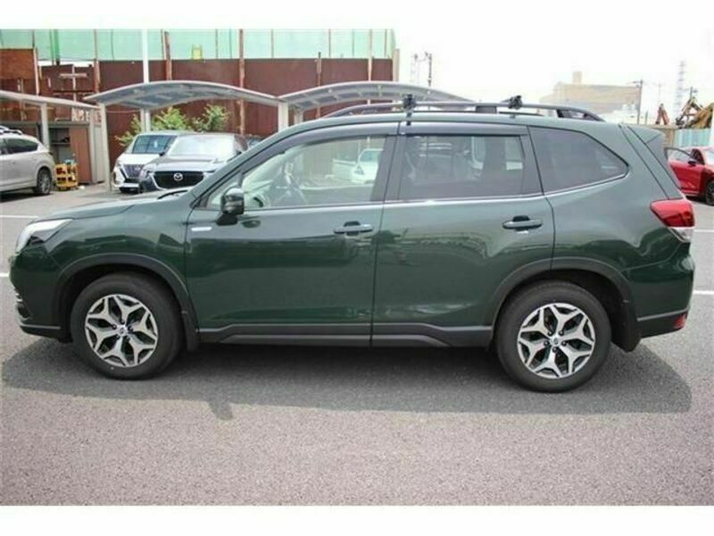 FORESTER-8