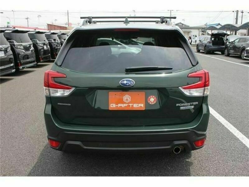 FORESTER-9
