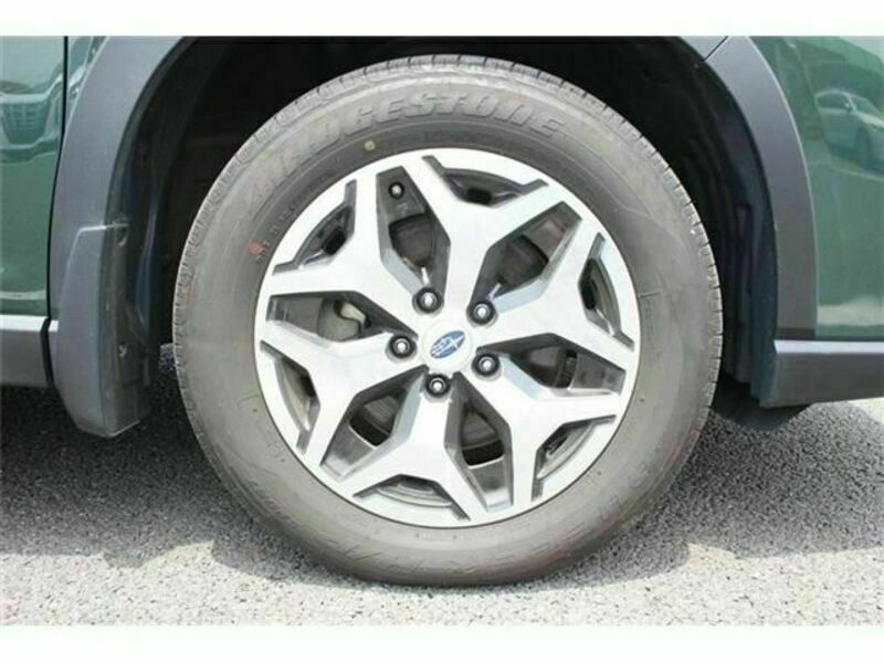 FORESTER-10