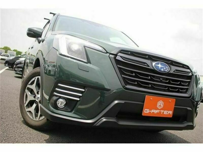 FORESTER-11