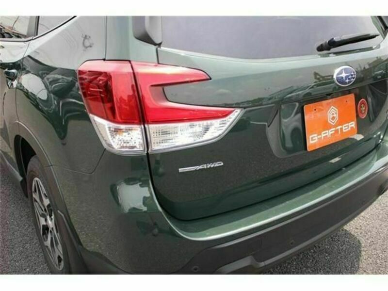 FORESTER-12