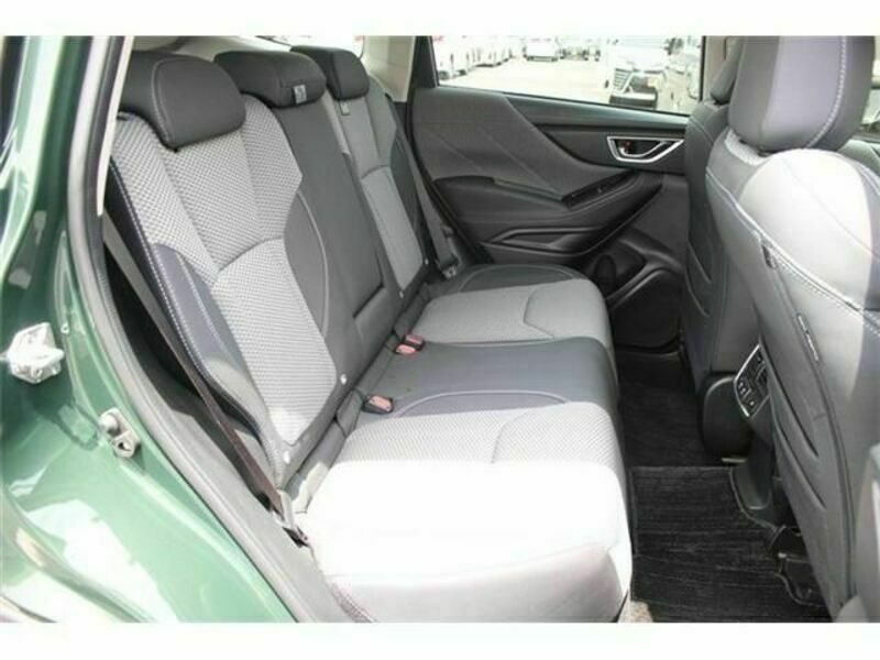 FORESTER-15