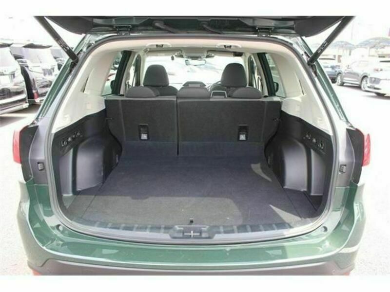 FORESTER-17