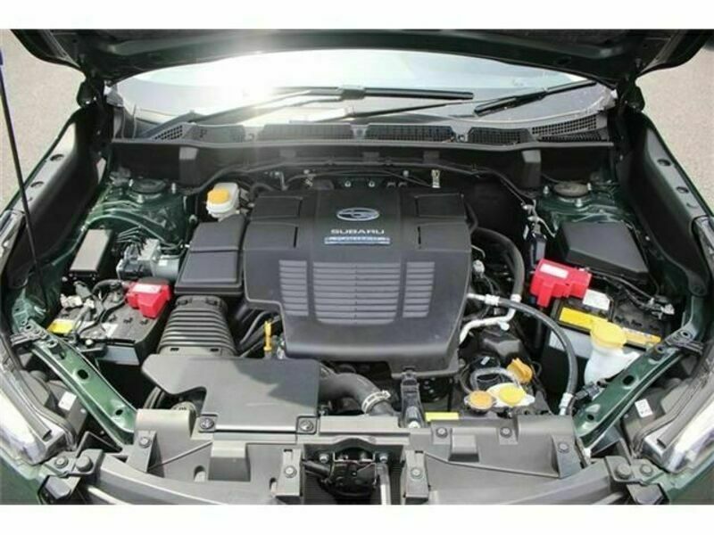 FORESTER-18
