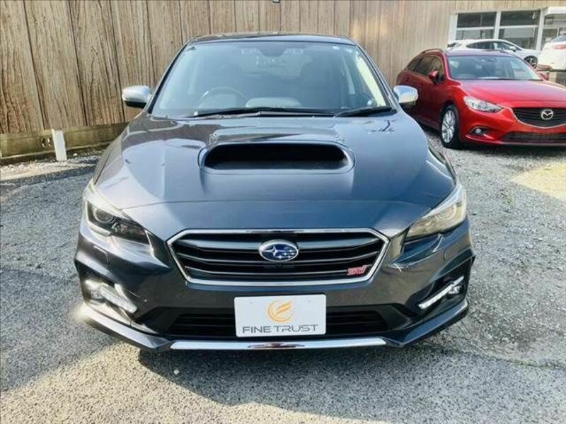 LEVORG