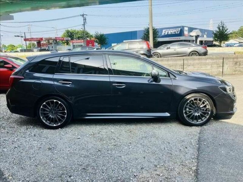 LEVORG